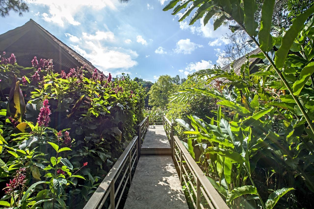 Khaokhoherbary Organicfarm&Resort Кхао-Кхо Екстер'єр фото