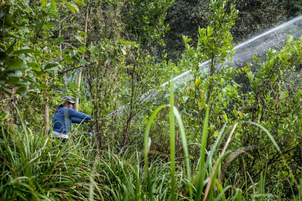 Khaokhoherbary Organicfarm&Resort Кхао-Кхо Екстер'єр фото
